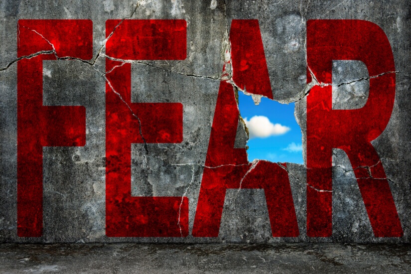 STOP feeding your fear(s)❗️