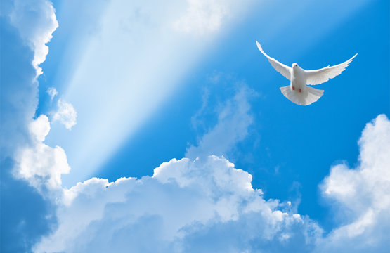 Refreshing, Renewing, and&nbsp;Liberation